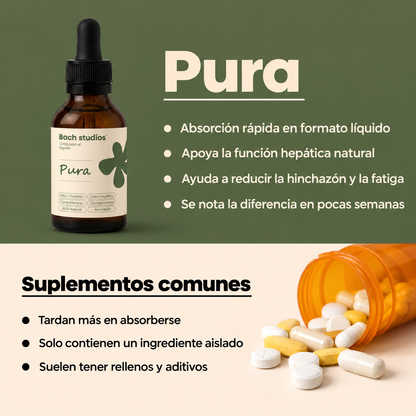 PURA - BACH STUDIOS ®
