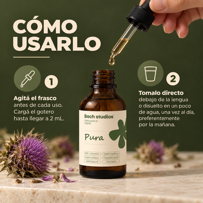 PURA - BACH STUDIOS ®