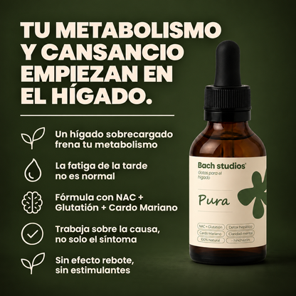 PURA - BACH STUDIOS ®